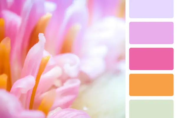 Paleta de cores para jardinagem urbana : Estilo e personalidade