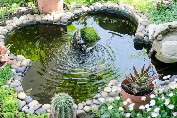 Elementos Aquáticos na Decoração de jardim : Fontes, Peixes e Mais