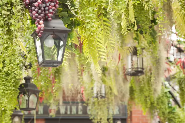 Jardins Temáticos personalize seu espaço verde: ideias para decorar