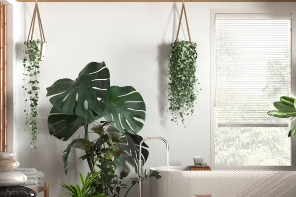 Os cinco elementos do Feng Shui para transformar ambientes: Integração com a natureza