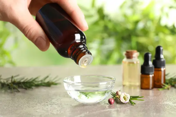 Para que serve o óleo de Melaleuca: O Potencial do Óleo   contra Micro-organismos Nocivos